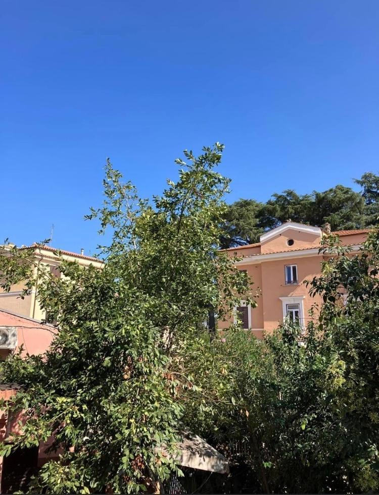 Casa Di Vivi, Comoda Per Il Centro, Il Vaticano Ed Il Gemelli Rom Exteriör bild